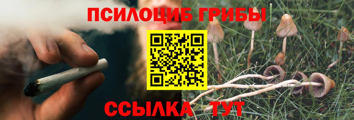 Псилоцибиновые грибы Cubensis  Вход с VPN  Псилоцибиновые грибы Psilocybe  Старая Русса 